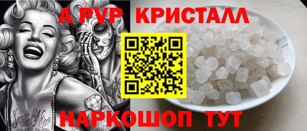 Alfa_PVP СК Нальчик