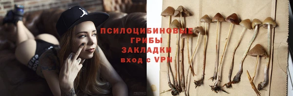 СК Покров