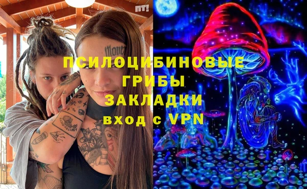 СК Покров