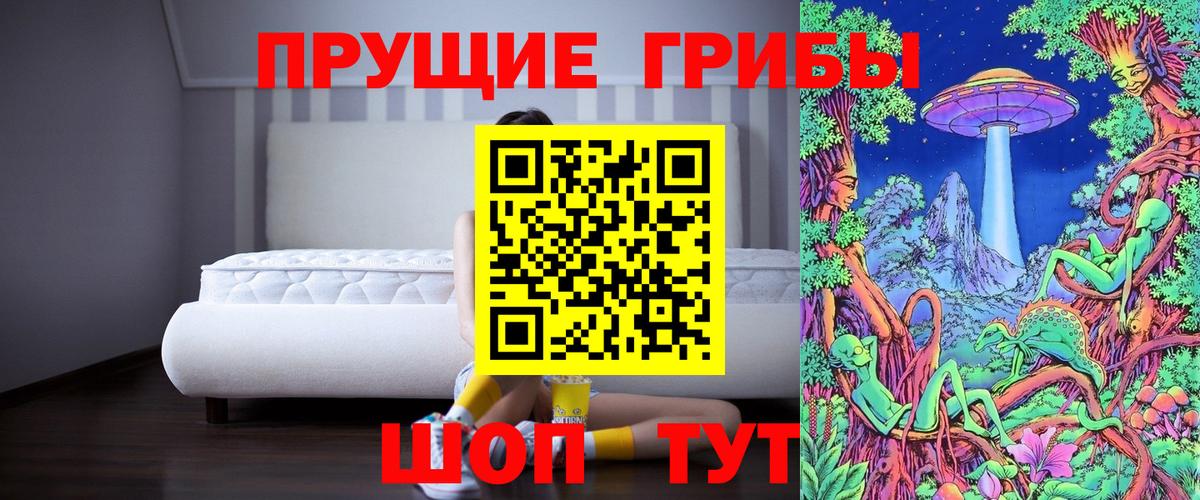 Нальчик  Галлюциногенные грибы Psilocybine cubensis  Вход с VPN 